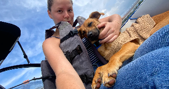 sarah pet sitter à LE RHEU 35650_1
