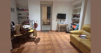 marie pet sitter à NIMES 30000_2