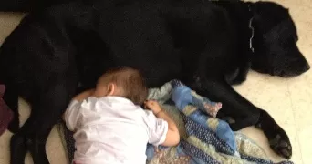 delphine dog sitter à CHATILLON 92320