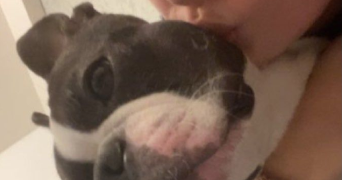 orane pet sitter à VANDOEUVRE LES NANCY 54500_2