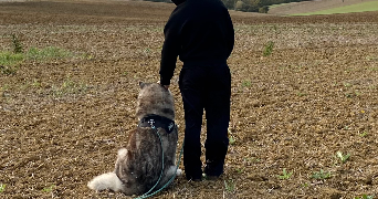 paul pet sitter à BEAUMONT SUR LEZE 31870_0