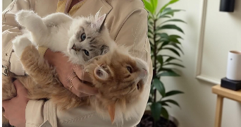 clémence pet sitter à Chamalières 63400_7