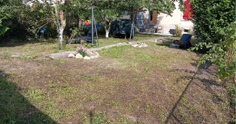 muriele pet sitter à COMMERCY 55200_5