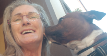 angela pet sitter à STRASBOURG 67200_13