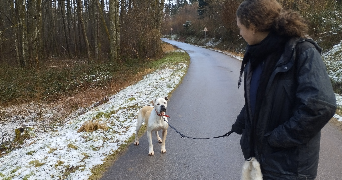 samm pet sitter à STRASBOURG 67000_3