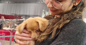 marina pet sitter à FONTENAY AUX ROSES 92260_1