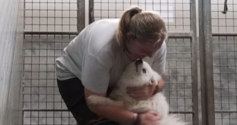 loann pet sitter à RENNES 35000_2