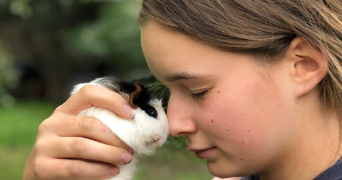 jean-charles dog sitter à TOULOUSE 31400_0