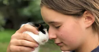 jean-charles dog sitter à TOULOUSE 31400