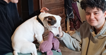 laurie pet sitter à VENISSIEUX 69200_3