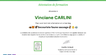 vinciane pet sitter à TOULON 83000_7
