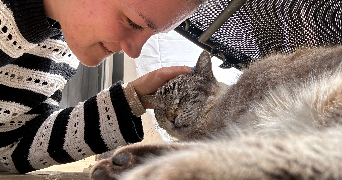 sacha pet sitter à TOULOUSE 31300_2