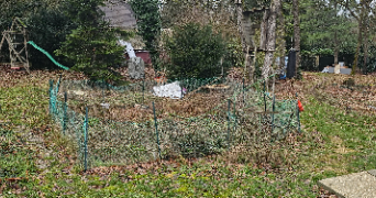 sandrine pet sitter à Itteville 91760_3