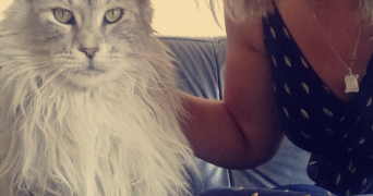 adeline pet sitter à PHALEMPIN 59133_4