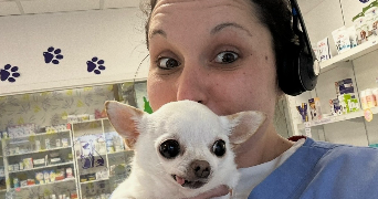 charlotte pet sitter à STE MAXIME 83120_3