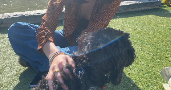 olivia pet sitter à Paris 75005_5