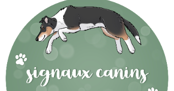 marion pet sitter à BILLOM 63160_1