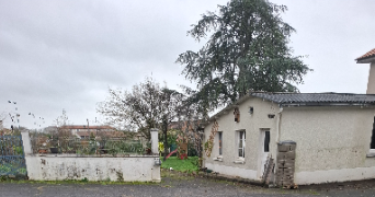 nicolas dog sitter à NANTEUIL 79400_2