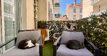 magaly pet sitter à GRENOBLE 38000_8