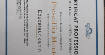 prescillia pet sitter à SIX FOURS LES PLAGES 83140_2