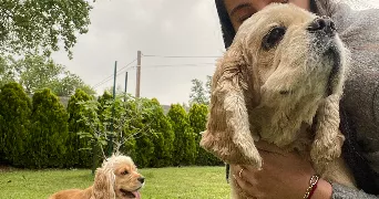 johanna pet sitter à ANNECY 74000