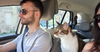 alexis pet sitter à LIFFRE 35340_9