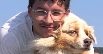 alexandre pet sitter à LORIENT 56100