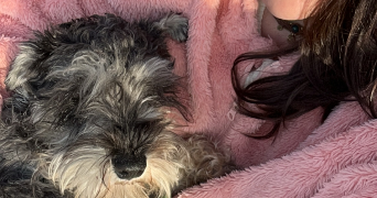 eva pet sitter à MONTAUBAN 82000_3