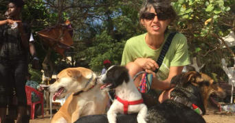 claudine pet sitter à TOULON 83000_3