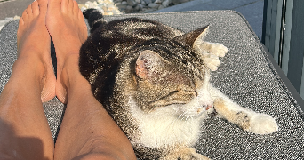 lilia pet sitter à MAXILLY SUR LEMAN 74500_0