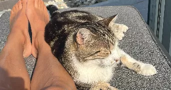 lilia pet sitter à MAXILLY SUR LEMAN 74500