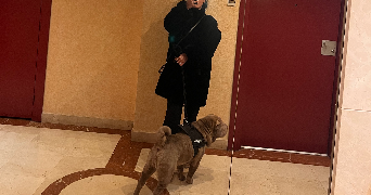 bénédicte pet sitter à CHARENTON LE PONT 94220_2