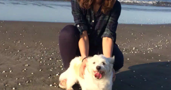 solmaz pet sitter à Lyon 69007_1