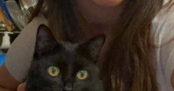sophia pet sitter à CRETEIL 94000_1