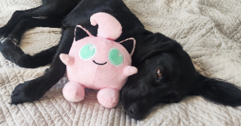 emma pet sitter à PARIS 14 75014_2