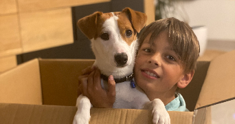 ludivine pet sitter à BAULON 35580_0