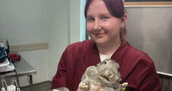 charlotte pet sitter à VILLEJUIF 94800_0