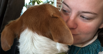 marie pet sitter à TOULOUSE 31400_4