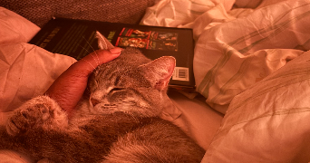 andrey pet sitter à PARIS 11 75011_1