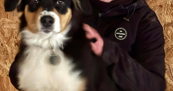 alice pet sitter à CLERMONT FERRAND 63000_1