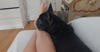 sophie pet sitter à PARIS 15 75015_1