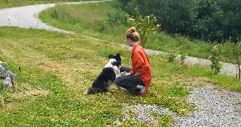 fleur pet sitter à LYON 01 69001_8
