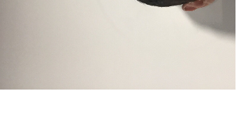 enzo pet sitter à PARIS 12 75012
