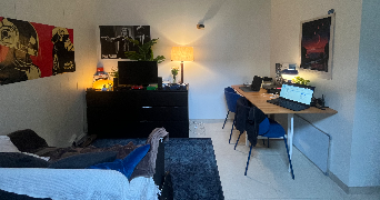 léna cat sitter à ROUEN 76000_1