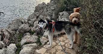 julie pet sitter à PARIS 12 75012_9