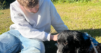 jade pet sitter à LEFFRINCKOUCKE 59495_1