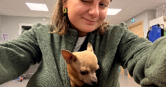 maïly pet sitter à ST JEAN DE LUZ 64500_3