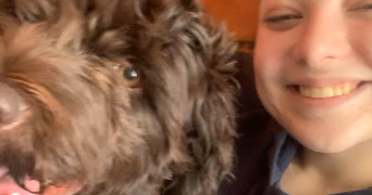 jeanne pet sitter à LILLE 59800_7