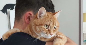 laura et pet sitter à Blagnac 31700_4