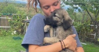 romane pet sitter à LYON 04 69004_2
